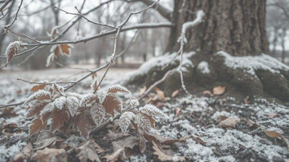 Dlaczego skóra wrażliwa potrzebuje ochrony przed mrozem i wiatrem?