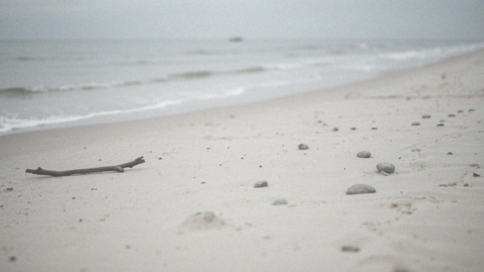 W jaki sposób ograniczenie plastiku wpływa na zanieczyszczenie oceanów?