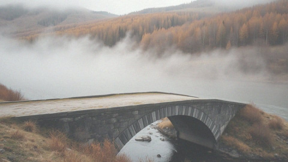 Animusz co to? Definicja, cechy i konteksty użycia