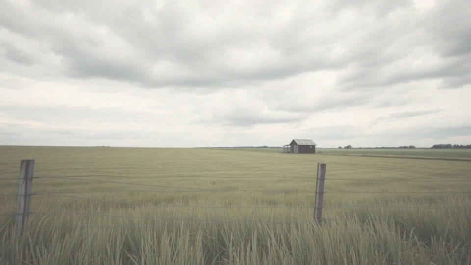 Co można postawić na działce rolnej? Przewodnik po budowach