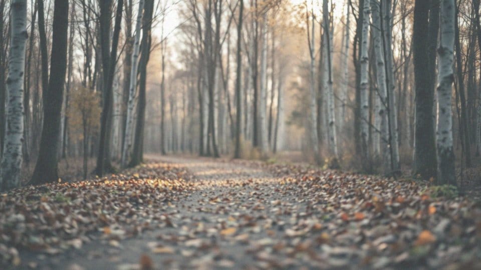 Jak pokonać lęk? Skuteczne metody i techniki radzenia sobie