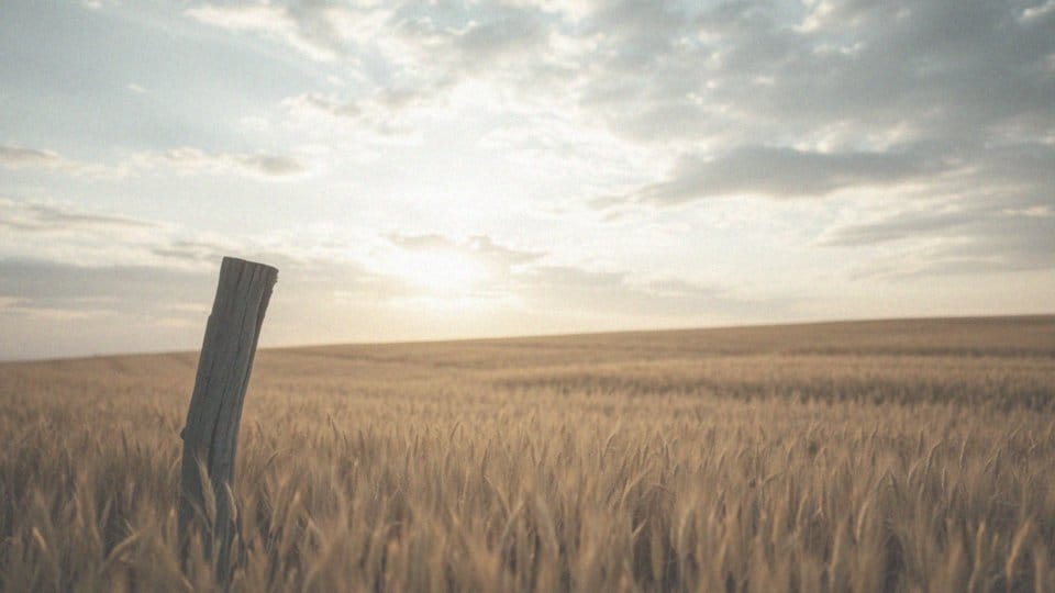 Jak przestać się bać wszystkiego? Skuteczne techniki radzenia sobie