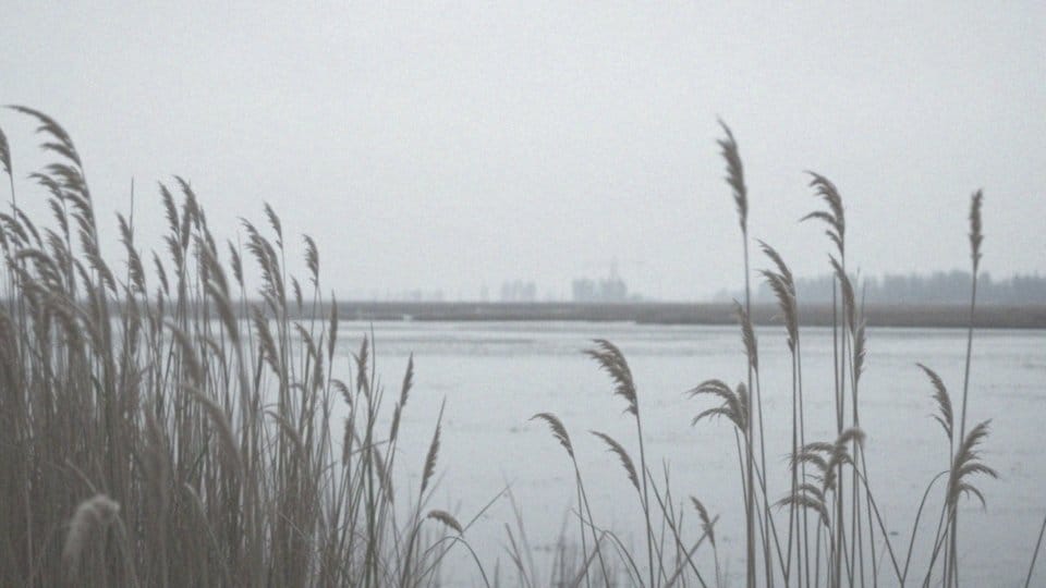 Kiedy Putin zaatakuje Polskę? Analiza zagrożeń i scenariuszy