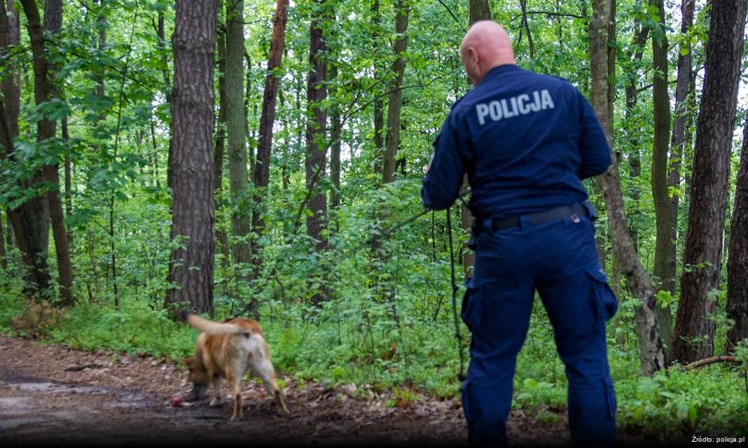 Warsztaty dla dzieci na temat hejtu w Zespole Szkół nr 24 w Bydgoszczy