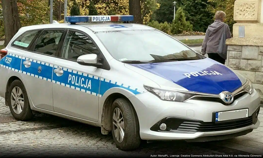 Kontrole leśne w gminie Dąbrowa Chełmińska – współpraca policji z leśnikami