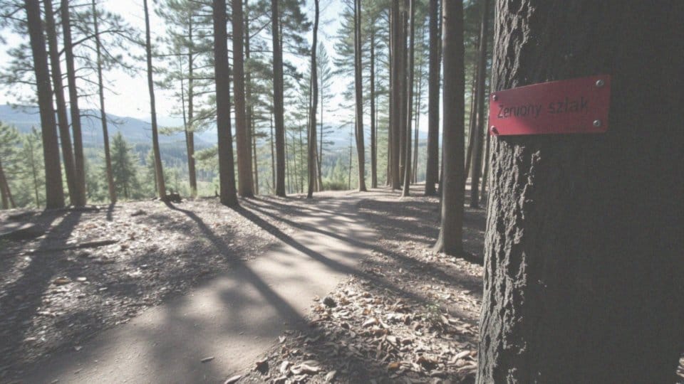 Polanica-Zdrój szlaki piesze – odkryj najlepsze trasy turystyczne
