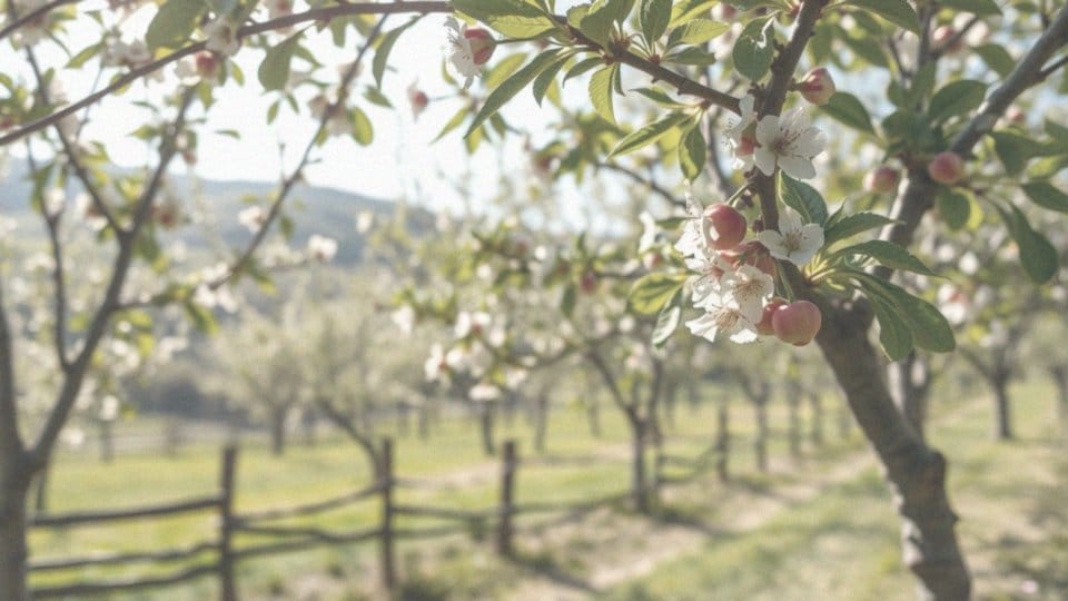 Szybko rosnące drzewa owocowe – jak je uprawiać i jakie wybrać?